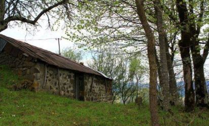 Tonya Turalı Köyü Resimleri 2