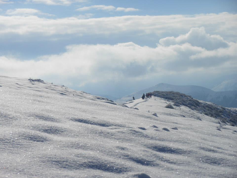 Tonya Turalı Köyü Resimleri 21