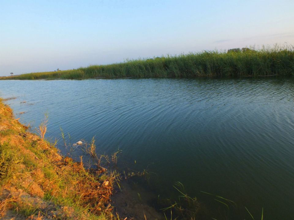 Bafra Koşu Köyü Resimleri 3