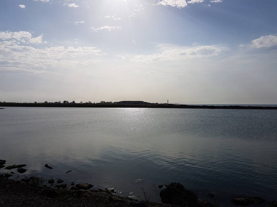 Bafra Koşu Köyü Resimleri 4