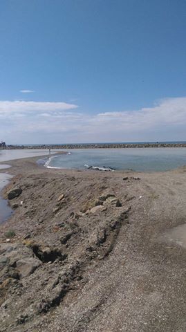 Bafra Koşu Köyü Resimleri 6