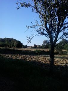 Bafra Lengerli Köyü Resimleri 2