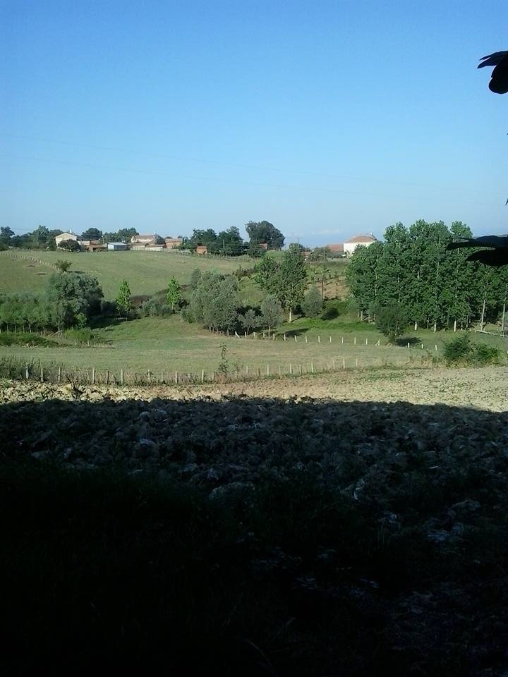 Bafra Lengerli Köyü Resimleri 3