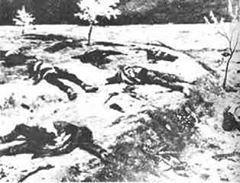 Bafra Lengerli Köyü Resimleri 4