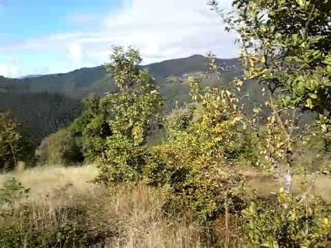 Kastamonu Cambaz Köyü Resimleri 3