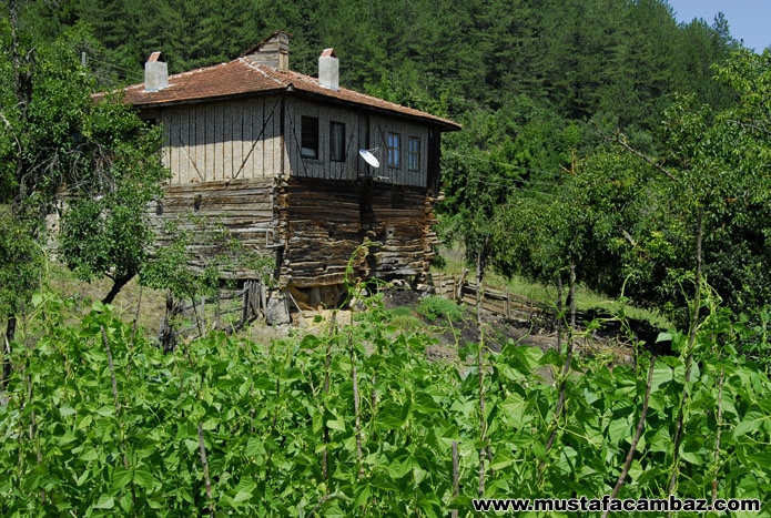 Kastamonu Cambaz Köyü Resimleri 6