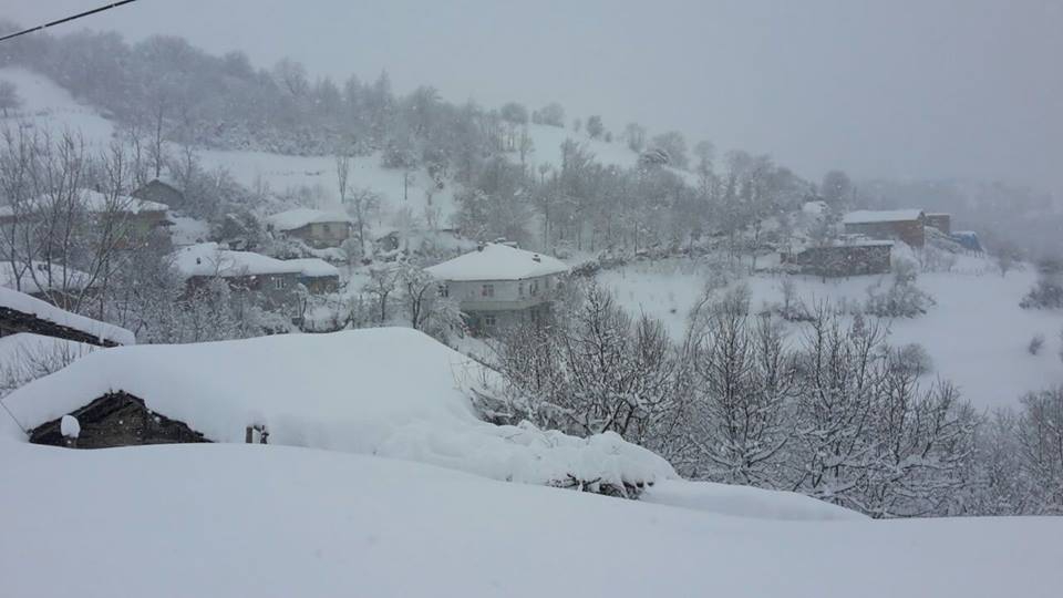 Bafra Yenialan Köyü Resimleri 2