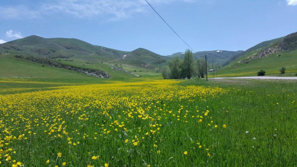 Bayburt Ortaçimağıl Köyü Resimleri 2