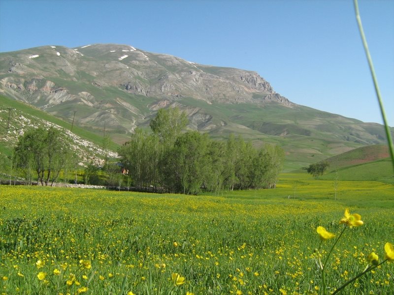 Bayburt Ortaçimağıl Köyü Resimleri 3