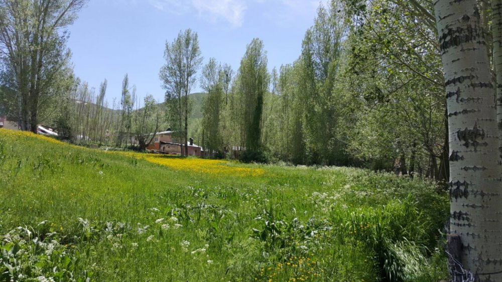 Bayburt Ortaçimağıl Köyü Resimleri 4