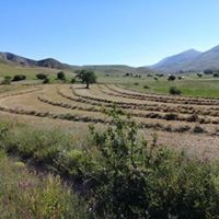 Bayburt Ortaçimağıl Köyü Resimleri 9