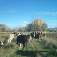 Bayburt Oruçbeyli Köyü Resimleri 1