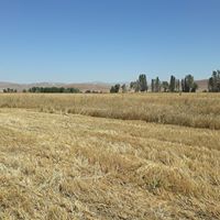 Bayburt Oruçbeyli Köyü Resimleri 11