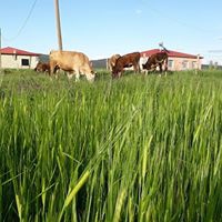 Bayburt Oruçbeyli Köyü Resimleri 5