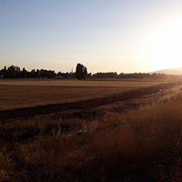 Bayburt Oruçbeyli Köyü Resimleri 7