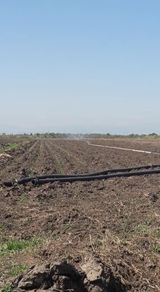 Bafra Yeşilyazı Köyü Resimleri 1