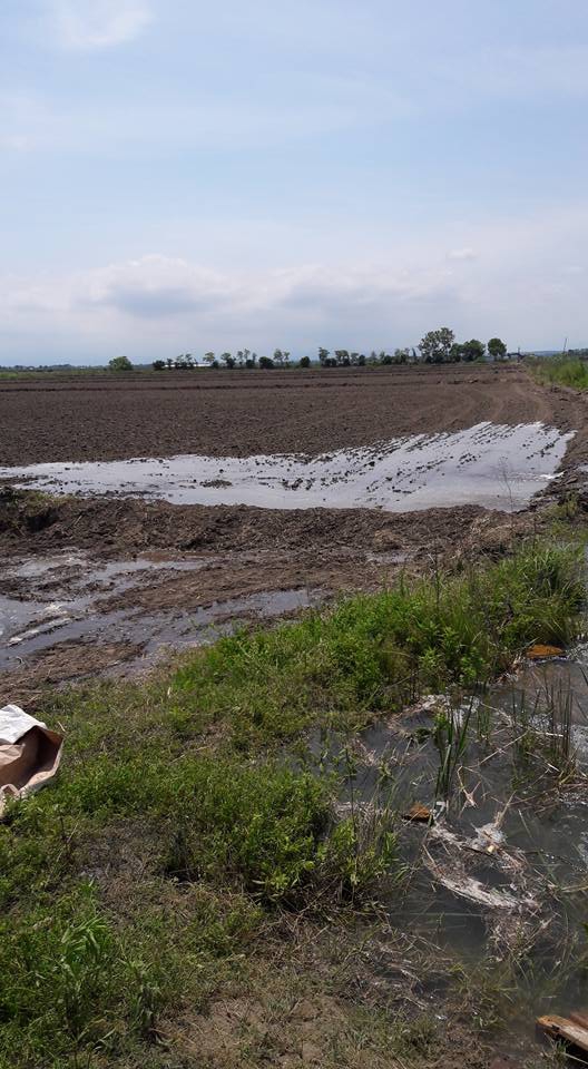 Bafra Yeşilyazı Köyü Resimleri 3
