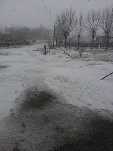 Bafra Yeşilyazı Köyü Resimleri 7