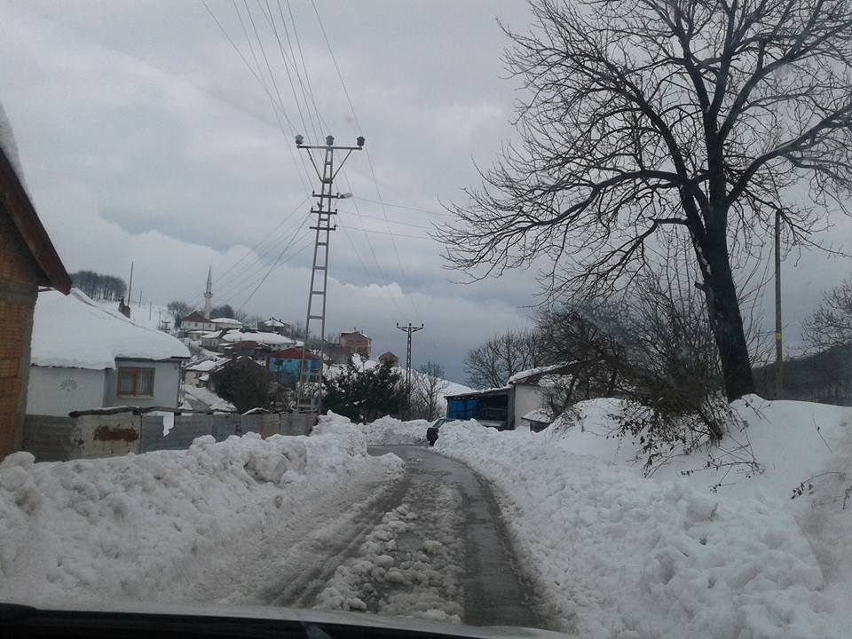 Canik Alibeyli Köyü Resimleri 3