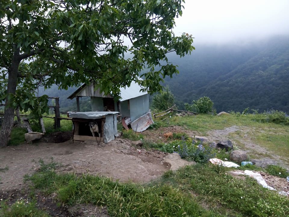 Canik Avluca Köyü Resimleri 1