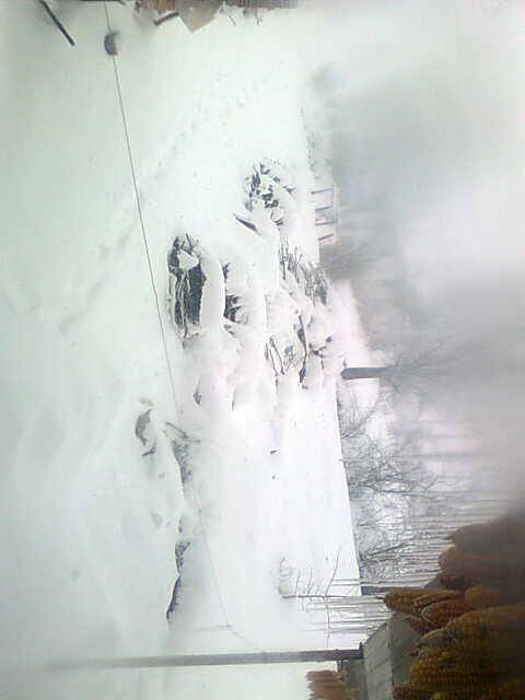 Canik Avluca Köyü Resimleri 3