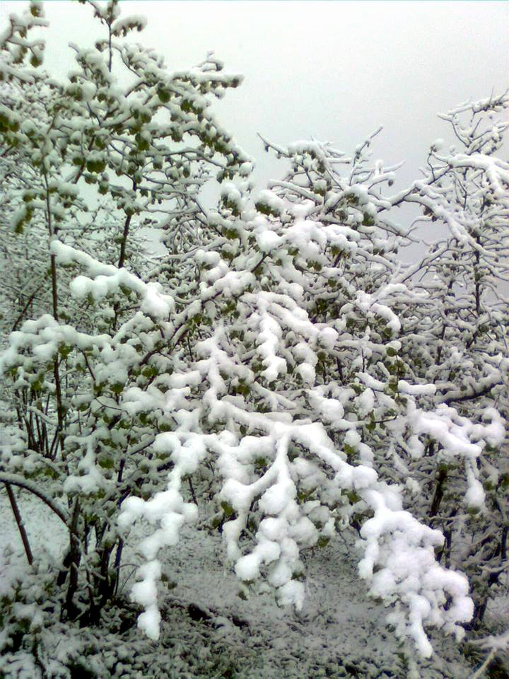 Canik Avluca Köyü Resimleri 6