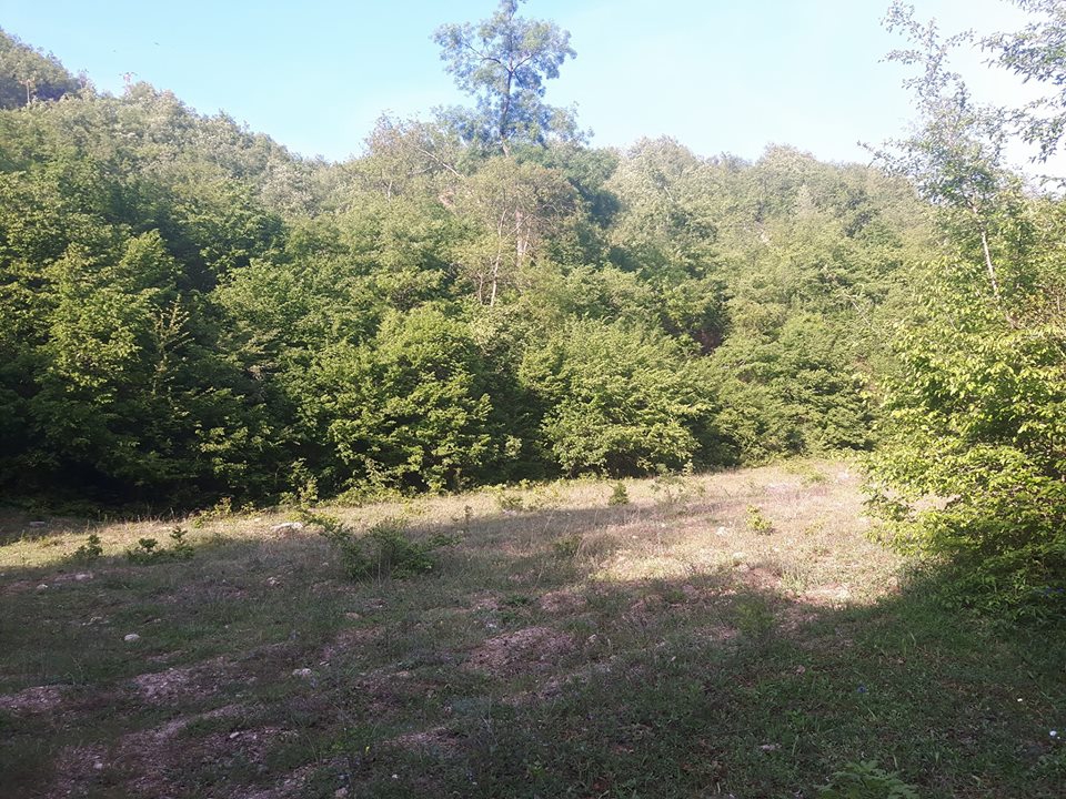 Canik Başkonak Köyü Resimleri 11