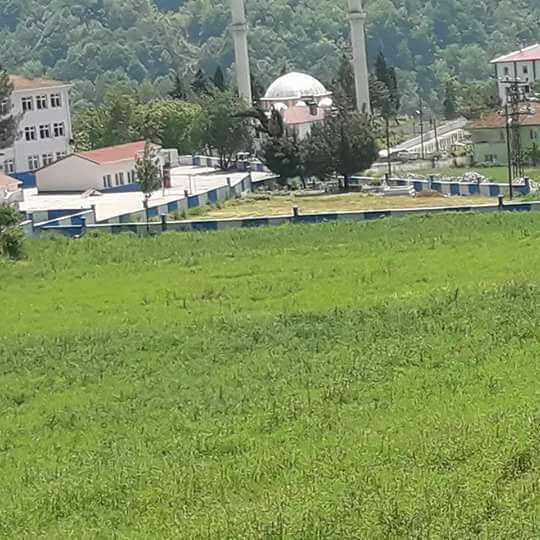 Canik Başkonak Köyü Resimleri 3