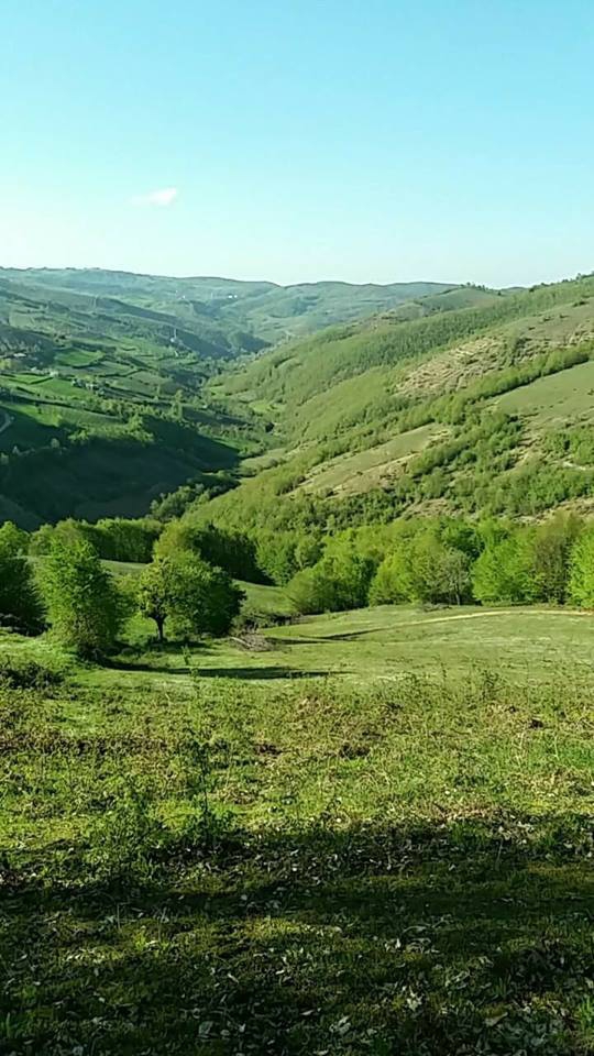 Canik Çağlayan Köyü Resimleri 13