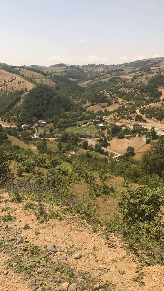 Canik Çağlayan Köyü Resimleri 3