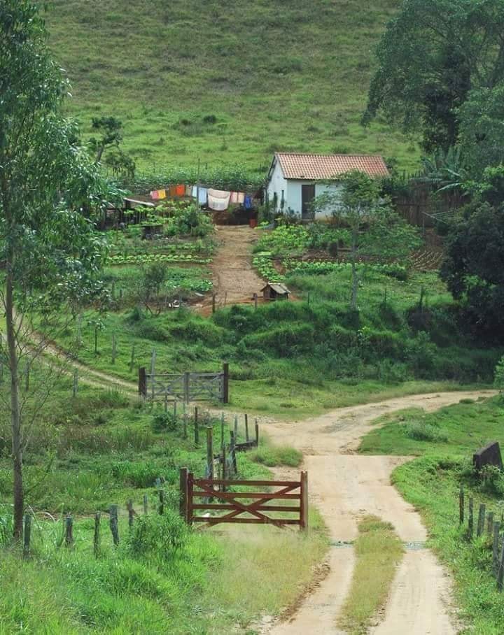 Canik Çağlayan Köyü Resimleri 5