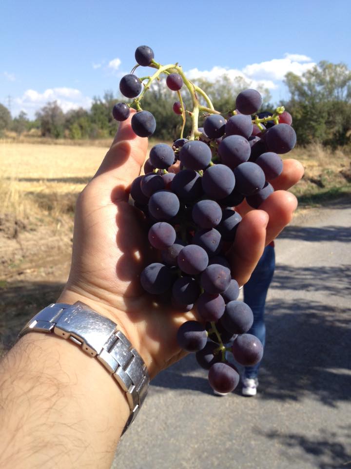 Akıncılar Eskibağ Köyü Resimleri 14