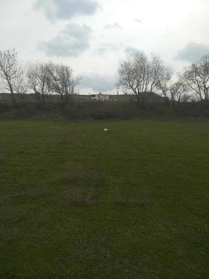 Canik Dereler Köyü Resimleri 9