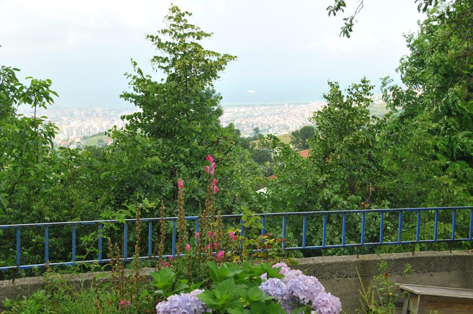 Canik Düzardıç Köyü Resimleri 1