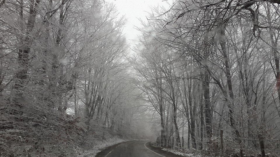 Canik Fındıcak Köyü Resimleri 2