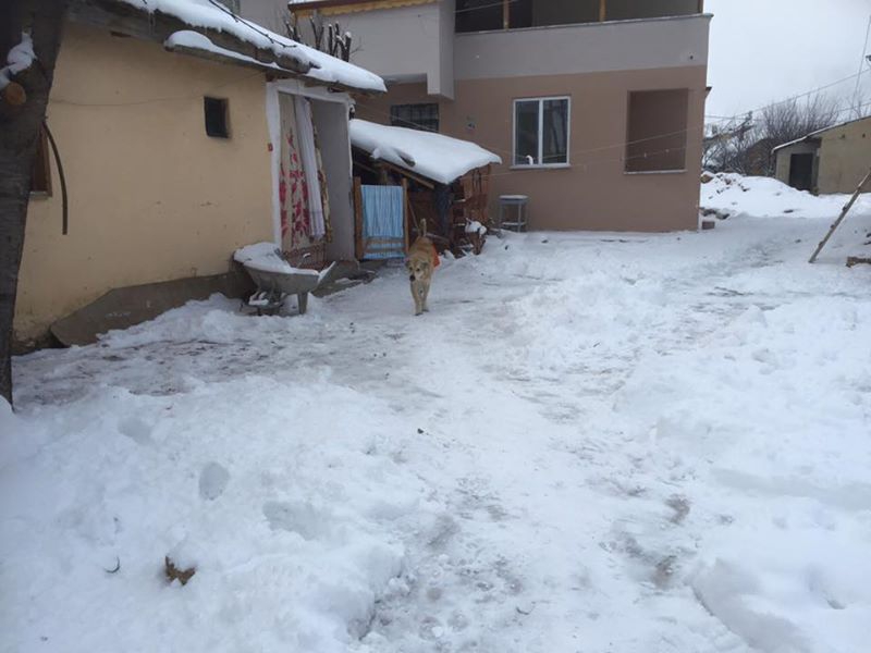 Akıncılar Geyikpınar Köyü Resimleri 12