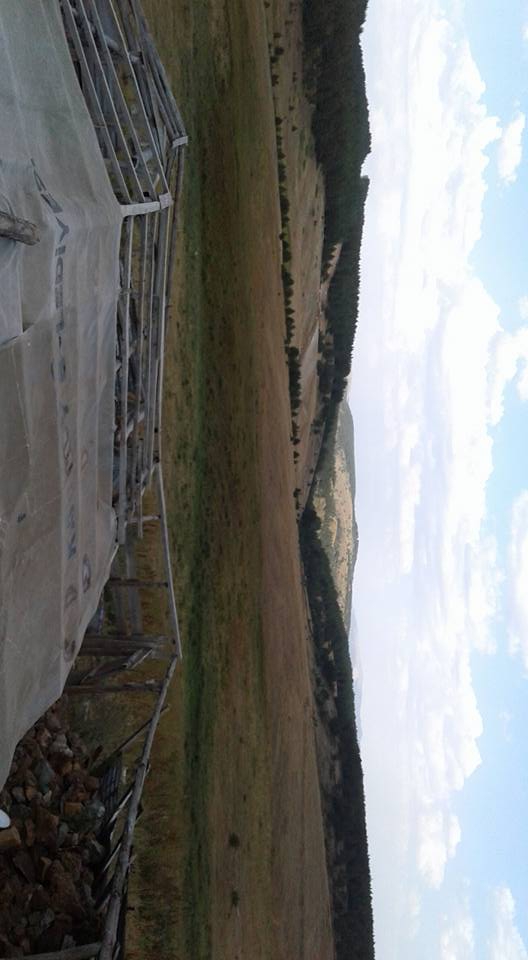 Akıncılar Geyikpınar Köyü Resimleri 2