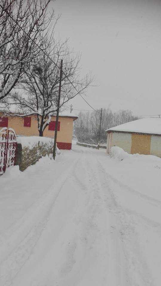 Akıncılar Geyikpınar Köyü Resimleri 4