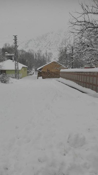 Akıncılar Geyikpınar Köyü Resimleri 6