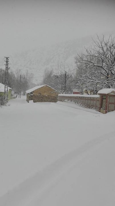 Akıncılar Geyikpınar Köyü Resimleri 7