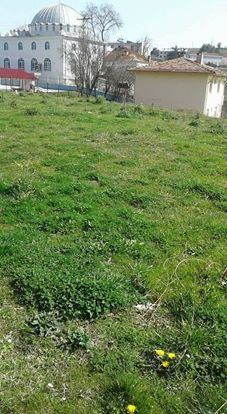 Canik Gökçepınar Köyü Resimleri 11