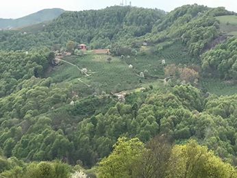 Canik Gökçepınar Köyü Resimleri 4