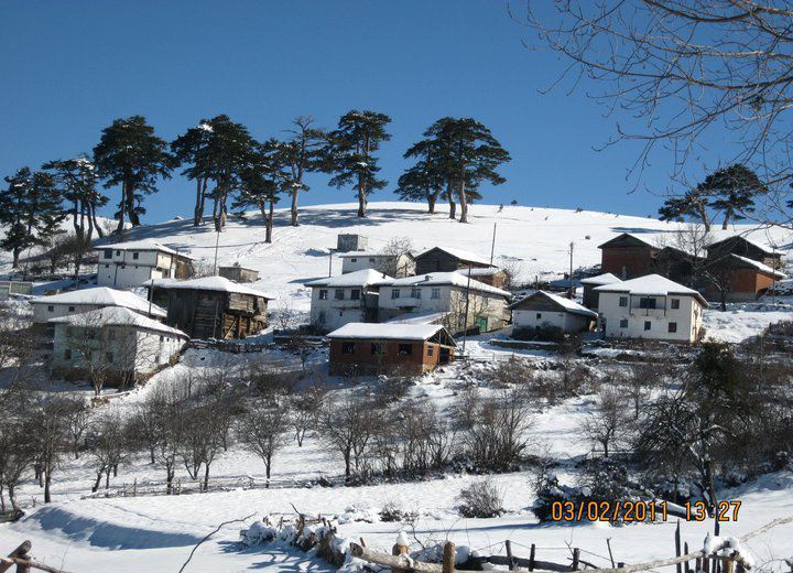Kastamonu Cebeci Köyü Resimleri 2
