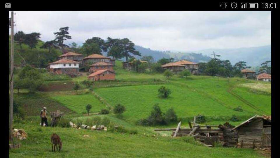 Kastamonu Cebeci Köyü Resimleri 4
