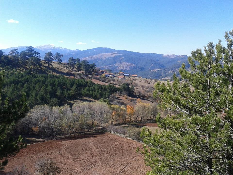 Kastamonu Cebeci Köyü Resimleri 9