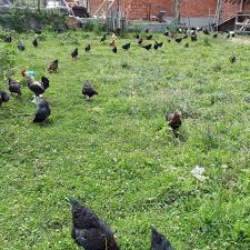 Kastamonu Civciler Köyü Resimleri 2