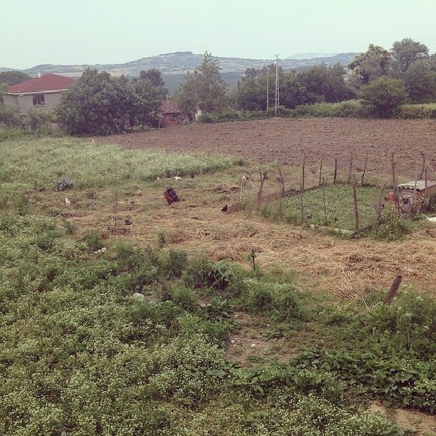 Kastamonu Civciler Köyü Resimleri 3