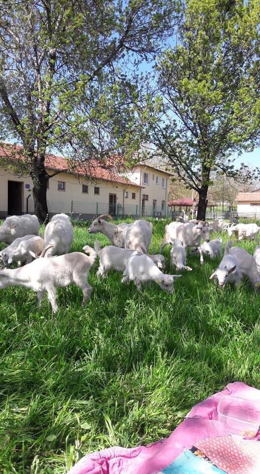 Kastamonu Çatalçam Köyü Resimleri 9