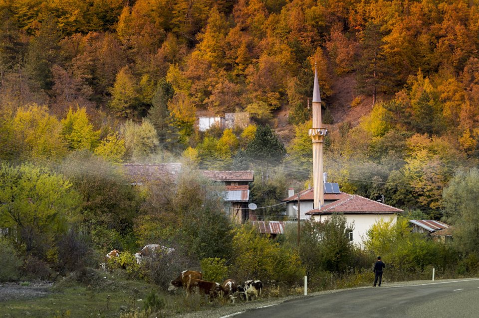 Kastamonu Çatören Köyü Resimleri 2