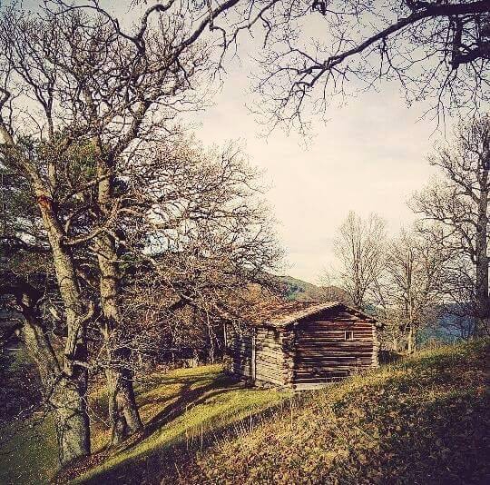 Kastamonu Çatören Köyü Resimleri 3